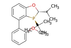 eMolecules​&nbsp;Ambeed / (2S3S)-3-(tert-Butyl)-2-isopropyl-4-(2-methoxyphenyl)-23-dihydrobenzo[d][13]oxaphosphole / 100mg / 600828548 / A1207640 /  / 2565792-33-6 / [null] / 342.419 / C21H27O2P