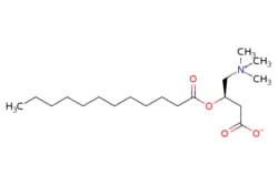 eMolecules​&nbsp;Medchem Express / Dodecanoylcarnitine / 5mg / 448039073 / HY-113166 /  / 25518-54-1 / [null] / 343.508 / C19H37NO4