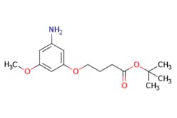 eMolecules​ 2135641-18-6 | ChemScene | 11-Dimethylethyl 4-(3-amino-5-methoxyphenoxy)butanoate