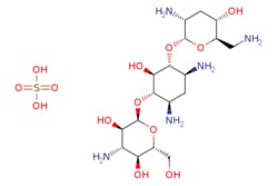 eMolecules​&nbsp;AstaTech / TOBRAMYCIN SULFATE / 0.25g / 392627730 / 42423 / 95.000 / 49842-07-1 / MFCD00133864 / 565.590 / C18H39N5O13S