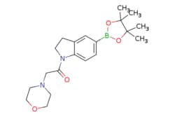 eMolecules​ Ambeed / 2-Morpholino-1-(5-(4455-tetramethyl-132-dioxaborolan-2-yl)indolin-1-yl)ethanone