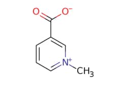 eMolecules​ Medchem Express / Trigonelline / 10mg / 536984347 / HY-N0414 /  / 535-83-1 / MFCD00054262 / 137.138 / C7H7NO2