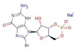 eMolecules​ 51116-01-9 | Medchem Express | 8-Bromo-cGMP (sodium) | 5mg