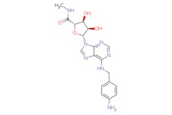 eMolecules​&nbsp;Medchem Express / AB-MECA / 1mg / 446269809 / HY-19365 /  / 152918-26-8 / MFCD05861375 / 399.411 / C18H21N7O4