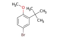 eMolecules​ AOBChem USA / 3-tert-butyl-4-methoxybromobenzene / 1g / 700996064