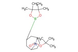 eMolecules​ Pharmablock / 8-Boc-3-(4455-tetramethyl-[132]dioxaborolan-2-yl)-8-aza-bicyclo[3.2.1]octane