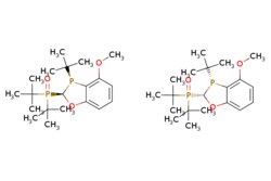 eMolecules​ Ambeed / rel-(2R3R)-2-[Bis(11-dimethylethyl)phosphinyl]-3-(11-dimethylethyl)-23-dihydro-4-methoxy-13-benzoxaphosphole / 100mg / 602849166 / A1149087 /  / 1788085-46-0 / [null] / 384.437 / C20H34O3P2