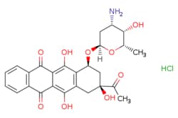 eMolecules​&nbsp;Medchem Express / Idarubicin (hydrochloride) / 5mg / 446268293 / HY-17381 /  / 57852-57-0 / MFCD00897212 / 533.960 / C26H28ClNO9