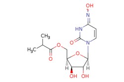 eMolecules​ 2492423-29-5 | Medchem Express | Molnupiravir | 10mg | 523883393