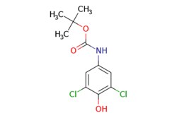 eMolecules​ Pharmablock / tert-butyl N-(35-dichloro-4-hydroxy-phenyl)carbamate