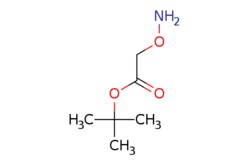 eMolecules​ 56834-02-7 | AstaTech | TERT-BUTYL 2-(AMINOOXY)ACETATE | 0.25g