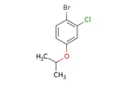 eMolecules​ AOBChem USA / 1-Bromo-2-chloro-4-isopropoxybenzene / 1g / 351628904