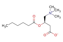 eMolecules​ Medchem Express / L-Hexanoylcarnitine / 5mg / 482204069 / HY-113144 /  / 22671-29-0 / [null] / 259.346 / C13H25NO4