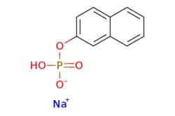 eMolecules​ 14463-68-4 | Ambeed | Sodium naphthalen-2-yl hydrogenphosphate