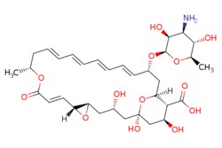 eMolecules​ Medchem Express / Natamycin / 50mg / 446272095 / HY-B0133 /