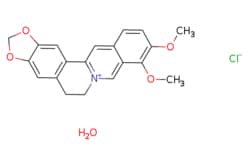 eMolecules​ 68030-18-2 | Medchem Express | Berberine (chloride hydrate)