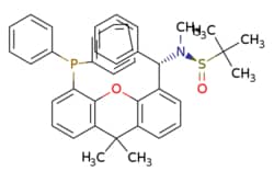 eMolecules​ 2757083-10-4 | Ambeed | (R)-N-((S)-(5-(Diphenylphosphino)-99-dimethyl-9H-xanthen-4-yl)(phenyl)methyl)-N2-dimethylpropane-2-sulfinamide