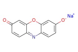 eMolecules​ 34994-50-8 | Medchem Express | Resorufin sodium salt | 100mg