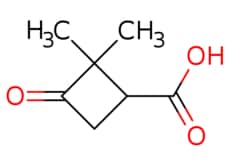 eMolecules​ Pharmablock / 22-dimethyl-3-oxocyclobutane-1-carboxylic acid