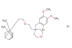 eMolecules​&nbsp;Medchem Express / Pinaverium bromide / 50mg / 448039022 / HY-111613 /  / 53251-94-8 / [null] / 591.425 / C26H41Br2NO4