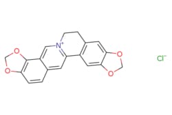 eMolecules​ 6020-18-4 | Medchem Express | Coptisine (chloride) | 5mg |