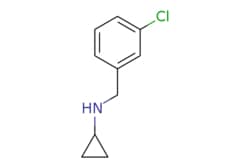 eMolecules​ 51586-21-1 | ChemScene | N-(3-chlorobenzyl)cyclopropanamine