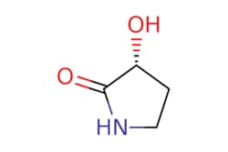 eMolecules​ 77510-50-0 | Ambeed | (R)-3-Hydroxypyrrolidin-2-one | 1g |