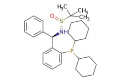 eMolecules​ 2565792-22-3 | Ambeed | (R)-N-((R)-(2-(Dicyclohexylphosphino)phenyl)(phenyl)methyl)-2-methylpropane-2-sulfinamide