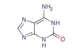 eMolecules​ 3373-53-3 | Ambeed | 6-Amino-13-dihydro-2H-purin-2-one | 100mg