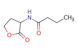 eMolecules​ Medchem Express / N-Butanoyl-DL-homoserine lactone / 5mg /