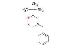 eMolecules​ 2228572-74-3 | ChemScene | 2-(4-Benzylmorpholin-2-yl)propan-2-amine