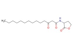 eMolecules​ 503610-29-5 | Medchem Express | N-(3-Oxotetradecanoyl)-DL-homoserine
