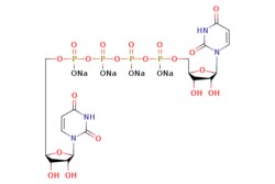 eMolecules​ Medchem Express / Diquafosol (tetrasodium) / 5mg / 446273061 / HY-B0606 /  / 211427-08-6 / [null] / 878.233 / C18H22N4Na4O23P4