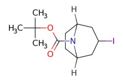 eMolecules​ Pharmablock / tert-butyl 3-iodo-8-azabicyclo[3.2.1]octane-8-carboxylate