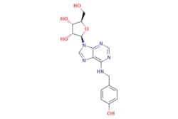 eMolecules​ Medchem Express / N6-(4-Hydroxybenzyl)adenosine / 10mg / 446269458 / HY-18775 /  / 110505-75-4 / MFCD18641957 / 373.369 / C17H19N5O5