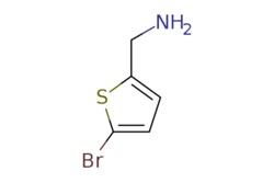 eMolecules​ 612499-04-4 | AstaTech | 1-(5-BROMO-2-THIENYL)METHANAMINE |