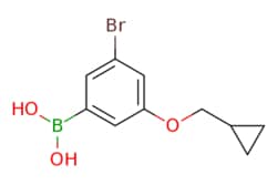 eMolecules​ Ambeed / (3-Bromo-5-(cyclopropylmethoxy)phenyl)boronic acid