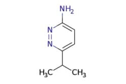 eMolecules​ Pharmablock / 6-isopropylpyridazin-3-amine / 25mg / 665626723