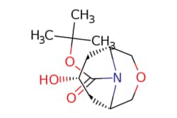 eMolecules​ Pharmablock / tert-butyl endo-7-hydroxy-3-oxa-9-azabicyclo[3.3.1]nonane-9-carboxylate