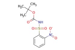 eMolecules​ AstaTech / N-BOC-2-NITROBENZENESULFONAMIDE / 1g / 282982283