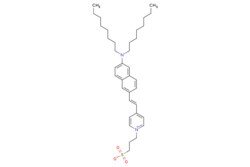 eMolecules​ Medchem Express / Di-8-ANEPPS / 1mg / 415686401 / HY-101891 /  / 157134-53-7 / MFCD03453608 / 592.880 / C36H52N2O3S