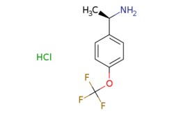 eMolecules​ ChemScene / (R)-1-(4-(Trifluoromethoxy)phenyl)ethan-1-amine