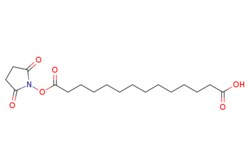 eMolecules​ 146004-82-2 | Ambeed | 14-((25-Dioxopyrrolidin-1-yl)oxy)-14-oxotetradecanoic