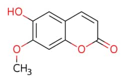 eMolecules​ Medchem Express / Isoscopoletin / 5mg / 495802177 / HY-N1365