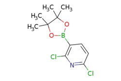 eMolecules​ AOBChem USA / 26-Dichloropyridine-3-boronic acid pinacol ester