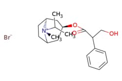 eMolecules​&nbsp;Medchem Express / Ipratropium (bromide) / 25mg / 758391494 / HY-B0241 /  / 22254-24-6 / [null] / 412.368 / C20H30BrNO3