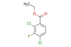 eMolecules​ AOBChem USA / Ethyl 24-dichloro-3-fluorobenzoate / 250mg /