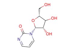 eMolecules​&nbsp;Medchem Express / Zebularine / 10mg / 446262866 / HY-13420 /  / 3690-10-6 / [null] / 228.204 / C9H12N2O5