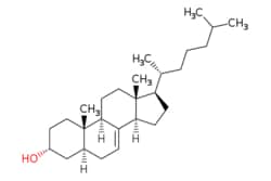 eMolecules​&nbsp;Medchem Express / Lathosterol / 5mg / 434310657 / HY-113486 /  / 80-99-9 / [null] / 386.664 / C27H46O