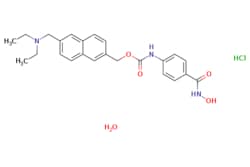 eMolecules​ Medchem Express / Givinostat (hydrochloride monohydrate) /